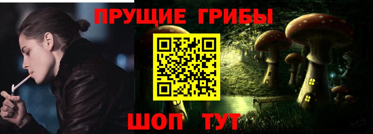 Псилоцибиновые грибы Psilocybe  Галлюциногенные грибы Psilocybe  Вход с VPN  Кропоткин 